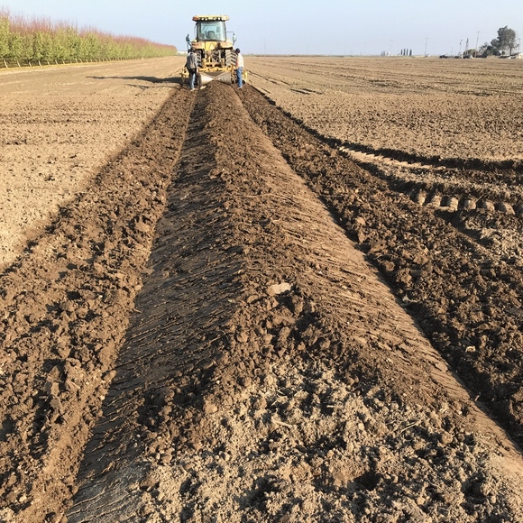 Meet your Posher, Jennifer - Picture 7 of 8